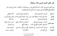 6.webp