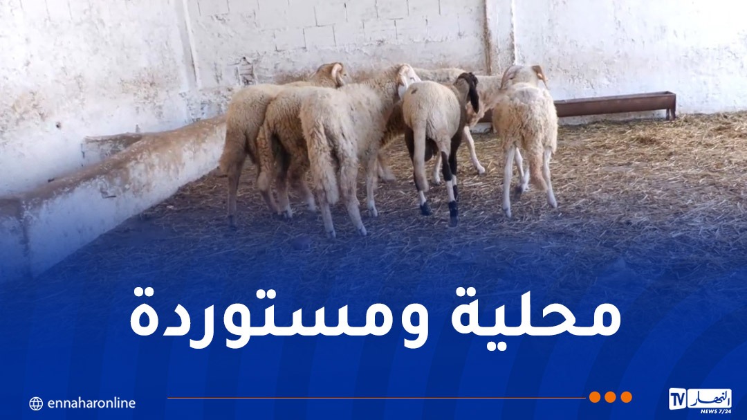 WhatsApp-Image-2026-05-24-at-11.33.37.jpeg