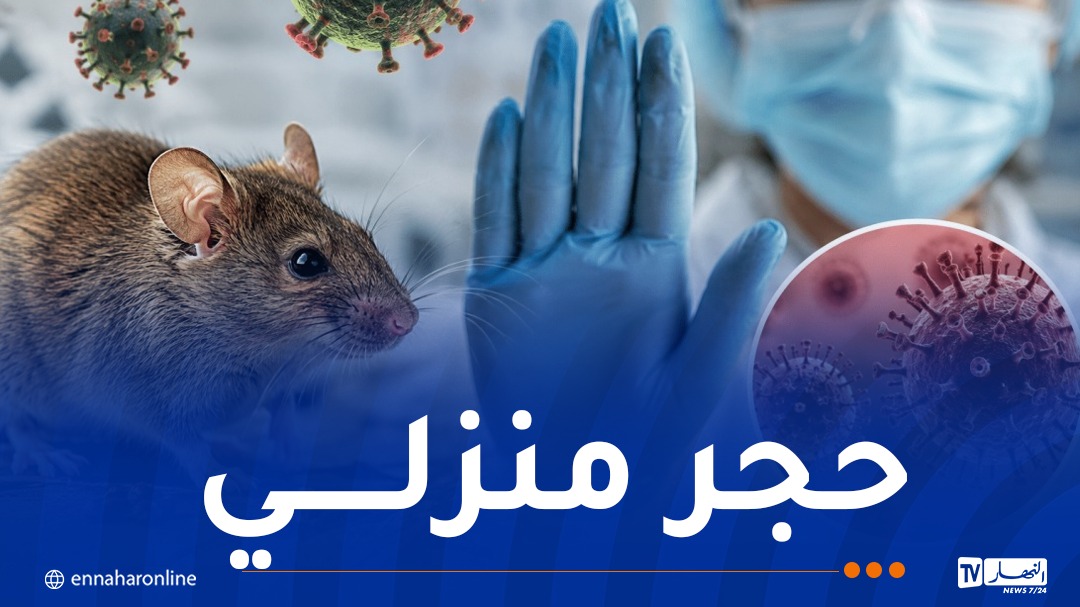 هانتا-2.jpg