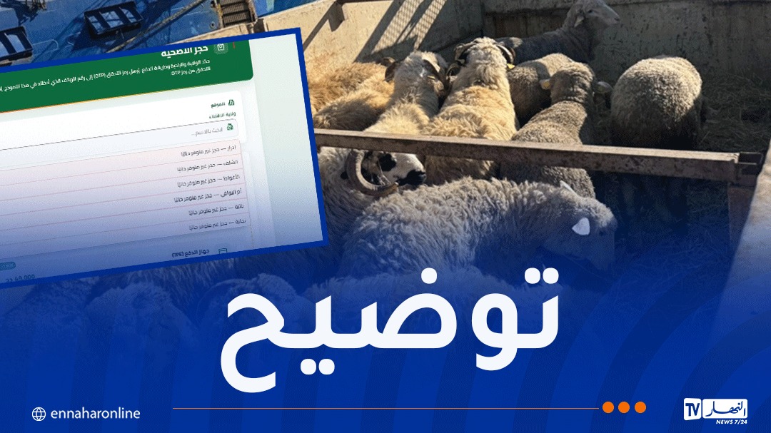 المنصة.jpg