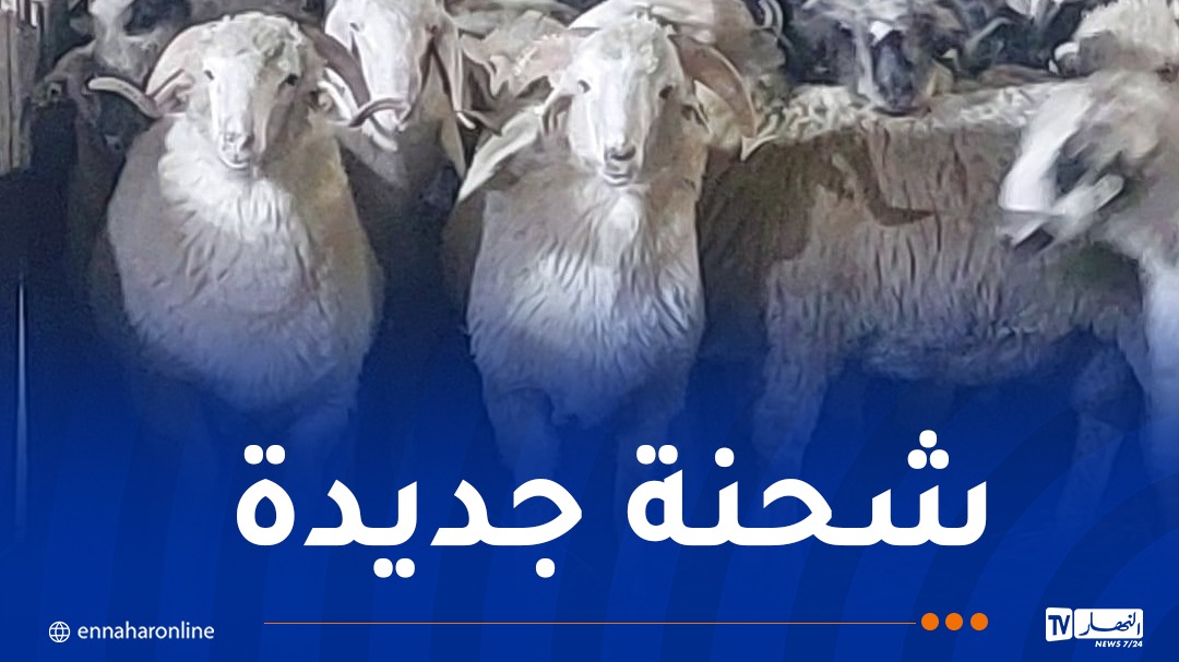 WhatsApp-Image-2026-05-14-at-09.48.04.jpeg