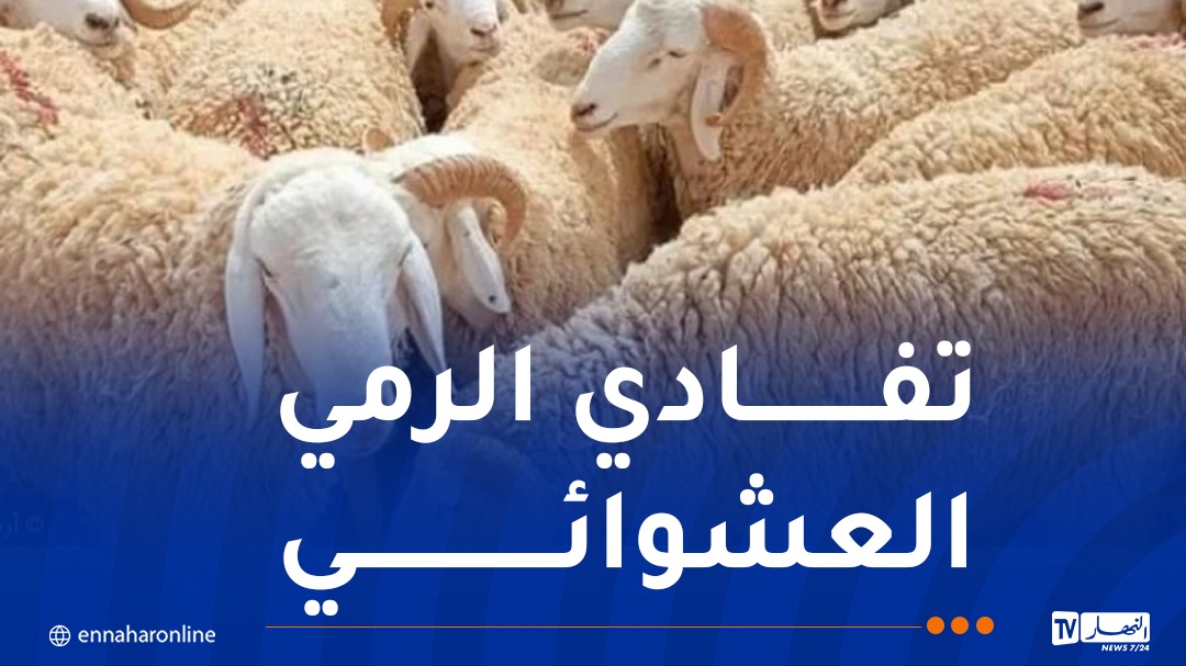 WhatsApp-Image-2026-05-11-at-09.47.17.jpeg