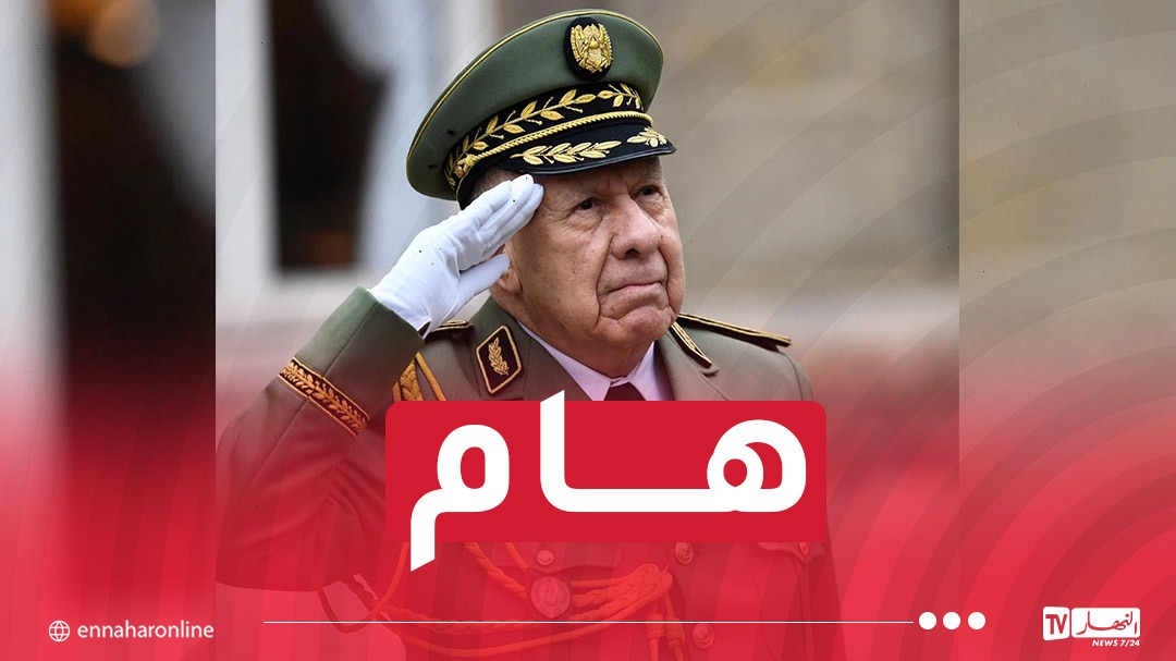 WhatsApp-Image-2025-04-19-at-13.09.09.jpeg