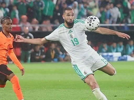 ffdfrf.jpg